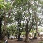 people resting in shade during hot city weather