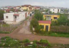 A row of residential houses on a quiet street
