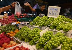 Shoppers browsing fresh vegetables at a farmers market stall